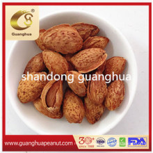 New Crop Good Quality Almond in Sheall Roasted